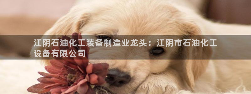 天辰平台登录注册