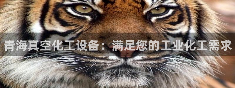 天辰团队玩彩平台是真的吗