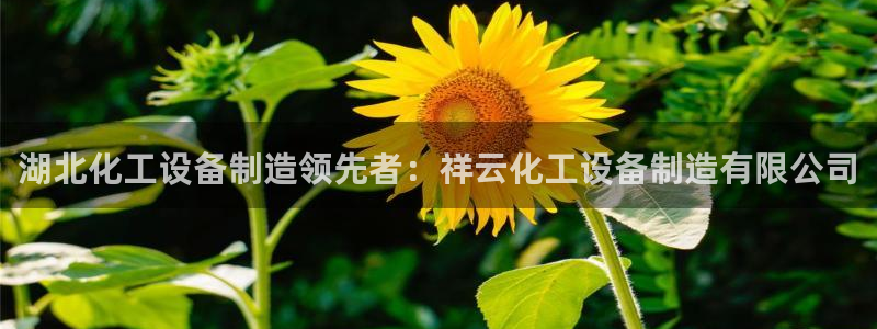天辰平台怎么样可靠吗