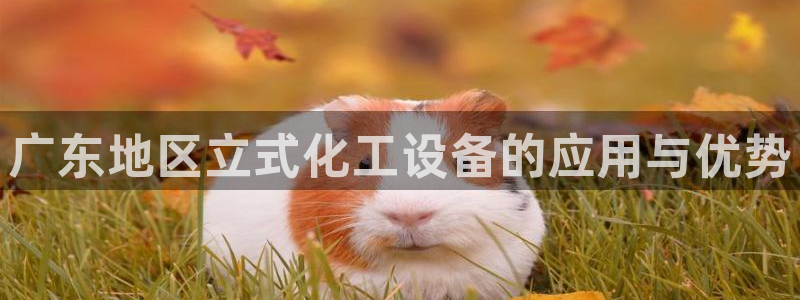 天辰平台会员有什么用啊