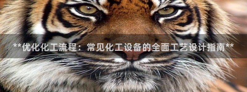 天辰171