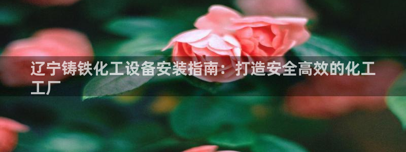 天辰娱乐app里面做任务是真的吗贴吧：辽宁铸铁化工设备安装指