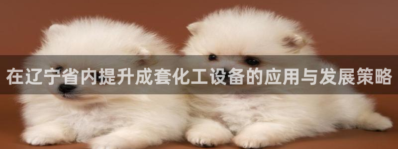 天辰平台用户登录不了