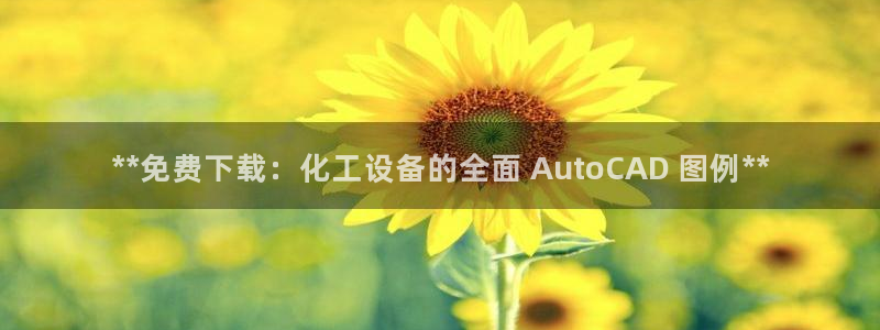 天辰平台注册地址怎么填