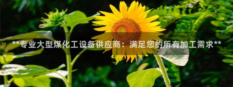 天辰平台某7O777