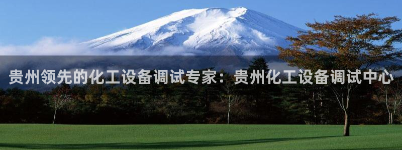 天辰平台测速登录失败怎么办