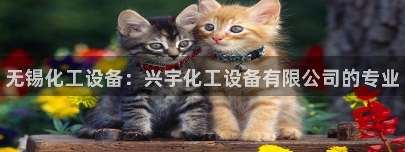 天辰平台会员怎么开