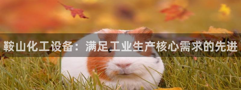 天辰平台用户登录不了怎么回事：鞍山化工设备：满足工