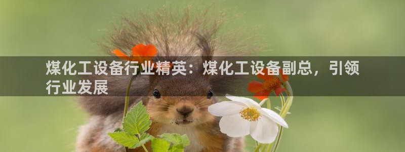 天辰平台科技