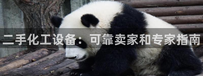 天辰娱乐平台用户评价与反馈