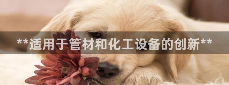 天辰网站
