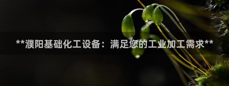 天辰娱乐提现