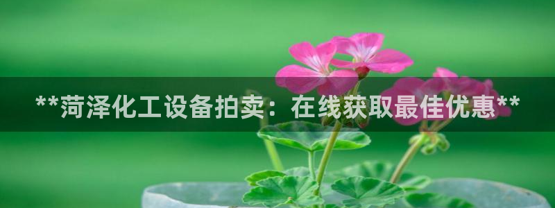 天辰注册平台：**菏泽化工设备拍卖：在线获取最佳优