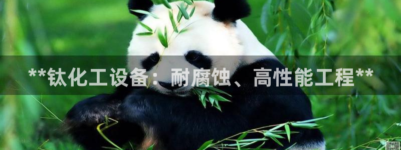天辰平台登录地址在哪里看