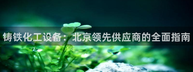 天辰平台 注册你的专属平台入口是什么：铸铁化工设备
