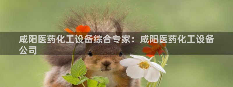 天辰平台专用注册通道安全吗可靠吗