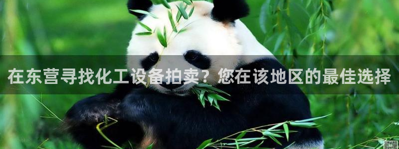 天辰平台消7O777：在东营寻找化工设备拍卖？您在