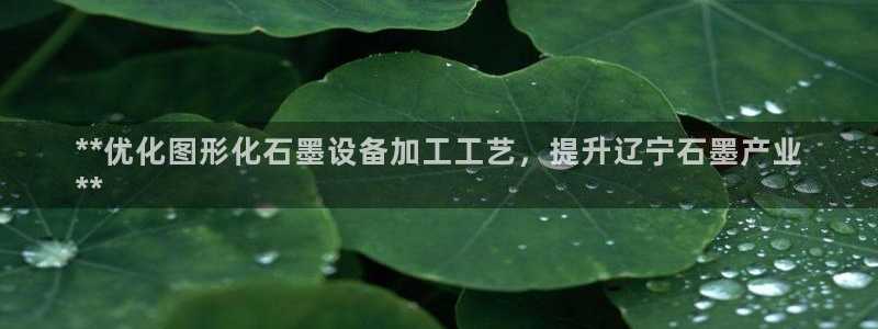 天辰平台用户登录：**优化图形化石墨设备加工工艺，