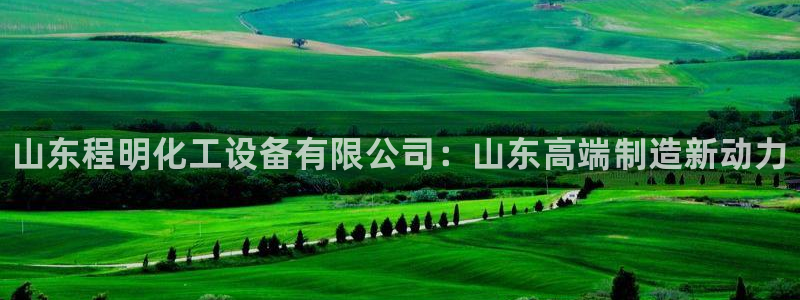 天辰娱乐平台用户评价与反馈
