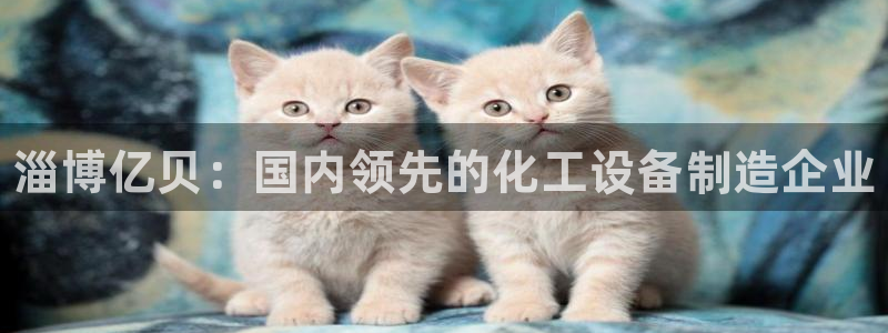 天辰平台注册登录地址在哪里看：淄博亿贝：国内领先的