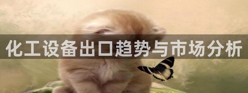 天辰会员开户多少钱：化工设备出口趋势与市场分析