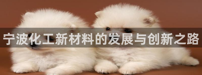 天辰平台消7O777：宁波化工新材料的发展与创新之路