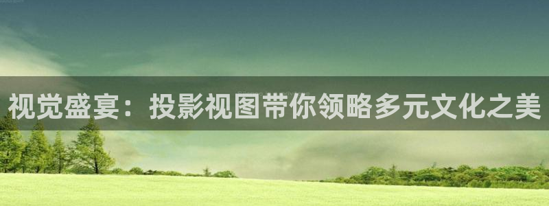 晴天影视安全下载：视觉盛宴：投影视图带你领略多元文化之美