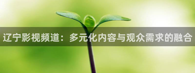 神马影院若你安好便是晴天：辽宁影视频道：多元化内容与观众需求的融合