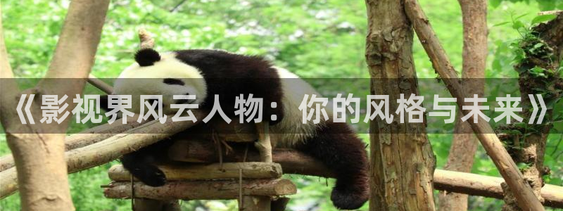 晴天影视下载最新：《影视界风云人物：你的风格与未来》
