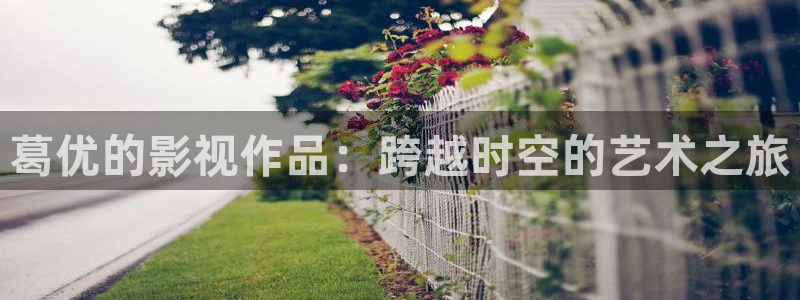 晴天影视免费下载app：葛优的影视作品：跨越时空的艺术之旅
