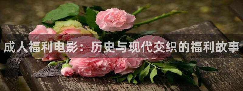 晴天影院免费观看电视剧高清：成人福利电影：历史与现代交织的福利故事
