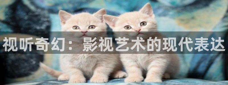 夏日友晴天免费完整版在线观看：视听奇幻：影视艺术的现代表达