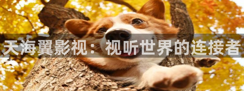 晴天影视下载官网：天海翼影视：视听世界的连接者
