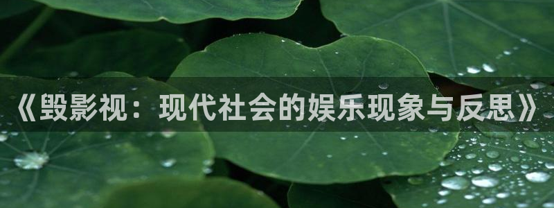 晴天影视免费观看：《毁影视：现代社会的娱乐现象与反思》