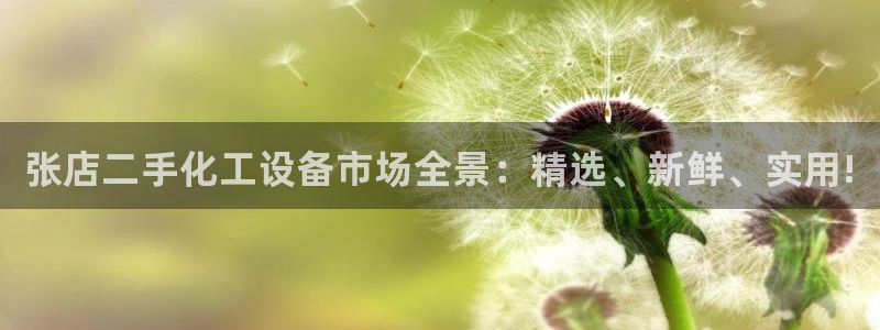 天辰平台总代理